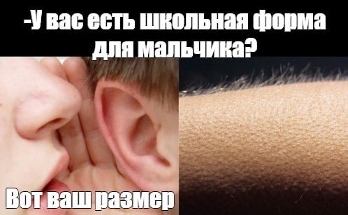 Россияне узнали новый ГОСТ на школьную форму в 2025 году. С 1 июля этого года в России начинает действовать новый государственный стандарт для школьной формы. Документ устанавливает требования к удобству, эстетике и патриотическому оформлению ученической одежды. Согласно стандарту, школьная форма должна изготавливаться в деловом стиле и обеспечивать комфорт при движении и сидении. Подписаться Прислать новость Буст