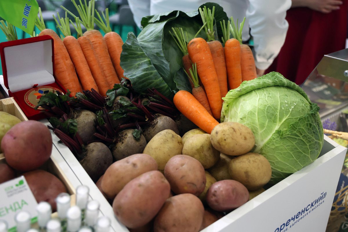 На Южном Урале урожай овощей и картофеля оказался больше чем считалось ранее   gubernia74 ru articles society 1137822 Министерство сельского хозяйства Челябинской области поделилось окончательной оценкой объемов урожая овощей и картофеля в этом году Предприятия и фермерские хозяйства региона собрали 149 9 тысячи тонн картофеля на 42 больше чем в прошлом году Урожай полевых овощей вырос на 17   t me chgub