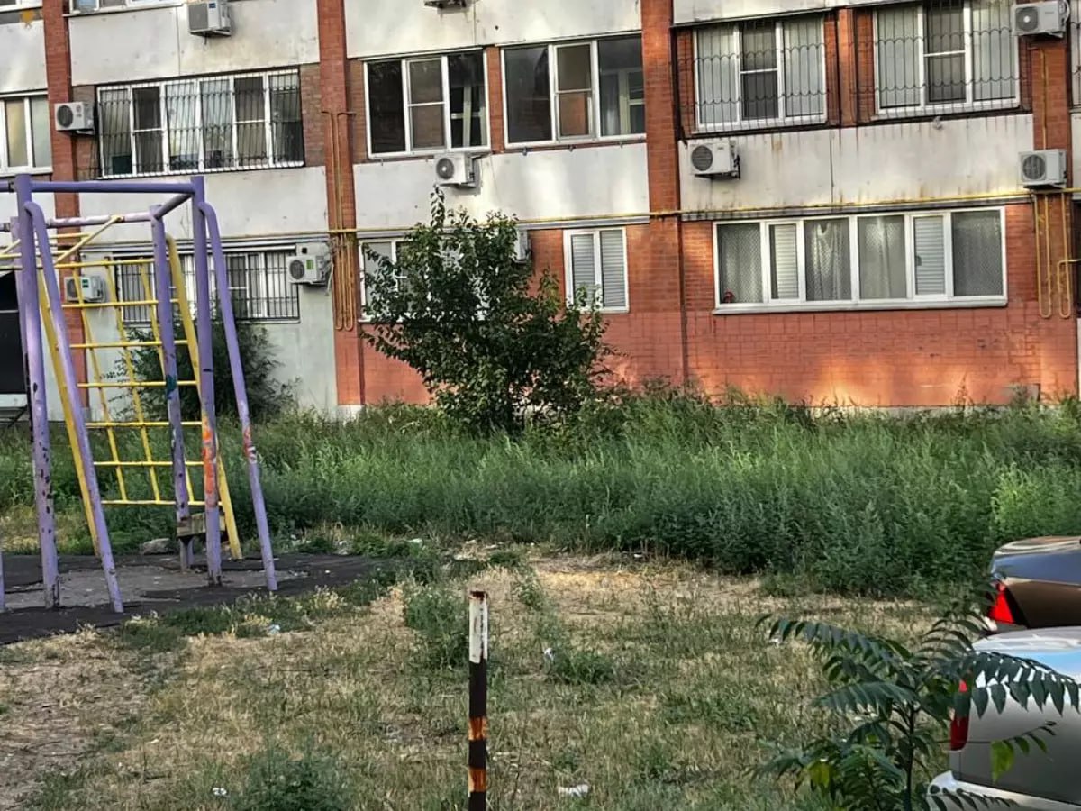 В Ростове во дворе дома в Днепровском амброзия выросла высотой до колена  Ростовчане пожаловались на заросли амброзии во дворе дома в переулке Днепровском. О проблеме горожане написали главе региона в соцсетях.    Дикий сорняк разросся между домами № 122 и № 120«б». На этой территории амброзия растет ежегодно. Жители говорят, что эту траву никто не косит и в результате к периоду самого агрессивного цветения она вырастает выше человеческого колена.    Аллергенное растение находится недалеко от небольшой спортплощадки и рядом с многоэтажками. Горожане не могут ни прогуляться возле дома, ни открыть окна на улицу. С просьбой скосить сорняк местные жители написали в соцсети губернатора.    К слову, за нарушение правил борьбы с карантинными растениями-сорняками предусмотрена административная ответственность в виде штрафа: на граждан – в размере от 300 до 500 рублей, на должностных лиц – от 500 до 1 000 рублей и на юридических лиц – от 5 000 до 10 000 рублей.   Подписаться на "Новости Ростова"    Прислать новость
