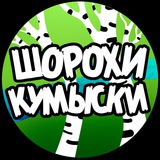 Аватар Телеграм канала: Шорохи Кумыски
