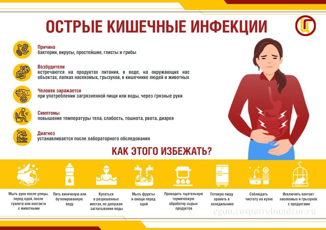 Профилактика острых кишечных инфекций Майские праздники часто сопровождаются приготовлением пищи на природе, но это также может привести к острым кишечным инфекциям и возникновению пищевых отравлений. К наиболее опасным продуктам питания, способным вызвать острые кишечные инфекции, относятся: многокомпонентные салаты; кондитерские изделия с кремом; изделия из рубленного мяса, студни и прочее. Даже на поверхности промытых овощей и фруктов могут оставаться возбудители кишечных инфекций, включая вирусы. Загрязненные продукты часто не меняют ни внешний вид, ни цвет, ни запах, ни вкус, что делает их особенно опасными. Роспотребнадзор рекомендует придерживаться следующих правил, чтобы сделать майские праздники безопасными: — Не готовьте большие количества многокомпонентных салатов, заливных и других сложных блюд на открытом воздухе. — Салаты и другие скоропортящиеся продукты лучше употреблять сразу после приготовления. — При покупке скоропортящихся продуктов, обращайте внимание на сроки годности и условия хранения. — Лучше использовать только продукты с длительным сроком годности. — Не покупать товары в незнакомых местах или на несанкционированных рынках. — Готовые к употреблению продукты хранить отдельно от сырых. — Тщательно прожаривать или проваривать продукты, особенно мясо, птицу, яйца и рыбу. — Избегать употребления продуктов с истекшим сроком годности и тех, которые хранились вне холодильника. — Регулярно мыть овощи и фрукты. — Не смешивать свежеприготовленную пищу с остатками от предыдущего дня. — Соблюдать правила личной гигиены и прививайте детям и внукам навыки гигиены с малых лет. При появлении первых признаков заболевания незамедлительно обращайтесь за медицинской помощью. Соблюдайте эти рекомендации и будьте здоровы! #Роспотребнадзор_рекомендует