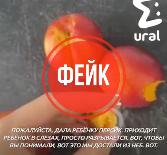 ФСБ рассказала об очередном фейке, попавшем в уральские СМИ. Сегодня распространилась информация о том, что ребенку из Екатеринбурга в персике попалась игла, он проткнул себе небо. Силовики провели проверку и утверждают, что она не соответствует действительности. Силовики в ходе проверки установили, что торговой точки с названием, упомянутым в видео, не существует, а по адресу, который назвали родители, ведется стихийная торговля. Продавцы во время опроса заявили, что в их фруктах нет инородных предметов, к тому же родители якобы пострадавшего ребенка не обращались в уполномоченные органы. В свое время в Екатеринбурге были популярны страшилки об иглах, воткнутых в перила эскалатора метро, в кресла в кинотеатрах и закопанных в песочница на детских площадках. Якобы, эти иглы инфицированы ВИЧ.