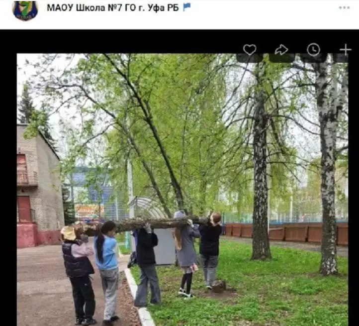 Школьный сезон в Уфе открыт не только учебой, но и… испытаниями на выживание.  В центре образования № 53 на Чехова каждую весну в классах появляются змеи — родители жалуются, а администрация района «ответит позже», потому что денег у властей «не хватает».  Тем временем в Школе № 7 в Советском районе детей заставляют таскать бревна на общегородском субботнике: пять маленьких девочек шли под тяжестью дерева, а взрослые хвалили «вместе — мы сила». Только вот сила тащить полено вряд ли соответствует детским возможностям.  Когда чиновники закрывают глаза на змей в подвалах и загружают первоклашек тяжёлыми грузами, получается не забота о детях, а полное пренебрежение — ведь школы для власти по-прежнему последнее дело.    Инсайдер Башкортостан   Написать нам