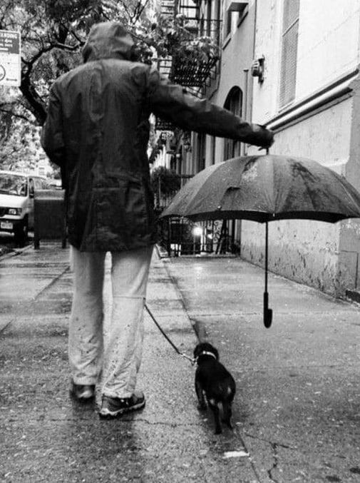 У природы нет плохой погоды Учёный КамГУ Никита Тананаев разработал новую методику которая поможет регионам Сибири и Дальнего Востока заранее адаптироваться к изменению климата Работа выполнена в рамках государственной программы Приоритет 2030 Дальний Восток Суть такая анализировать не только последние 10 лет погоды а весь климатический контекст включая редкие события учитывать особенности конкретных отраслей от туризма до рыболовства Например на Камчатке всё чаще штормит это значит придётся менять графики морских экскурсий и модернизировать флот А где то возможно пересмотреть энергосистемы или заменить зимние снегоходные туры на авто маршруты На базе КамГУ скоро откроют лабораторию экспериментальной климатологии в новом Кампусе первооткрывателей там продолжат разрабатывать практические решения для жизни и работы в разных климатических условиях Не можешь победить циклон распланируй его