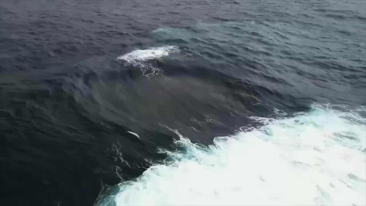 Австралийские сёрферы обнаружили уникальное столкновение четырех волн