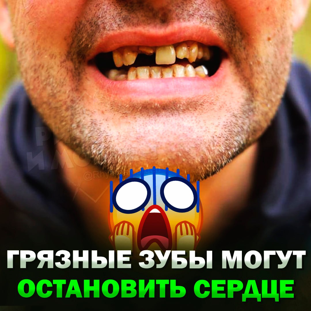 Грязные зубы могут остановить сердце, выяснили ученые Исследователи обнаружили, что бактерия Порфиромонас гингивалис, обитающая на деснах и являющаяся причиной пародонтита, способна проникать в кровоток. Оказавшись в сердце, она запускает процесс фиброза — формирования рубцовой ткани. Это, в свою очередь, может привести к аритмии, инфаркту и сердечной недостаточности, которые влекут за собой смерть. — звучит, как полный бред — пойду-ка я зубы почищу... Рифмы и Морген