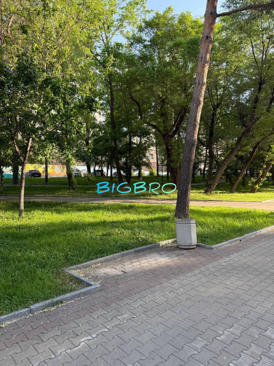 С бульвара украли четыре скамейки В Хабаровске на Уссурийском бульваре забрали четыре скамейки. За 2 недели новых скамеек не появилось, эти сидячие места просто исчезли. Хабаровчане, мягко скажем, удивляются, с какой целью это сделано. / реклама