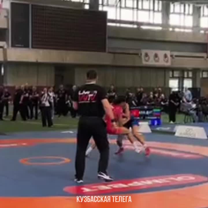Чемпионат России по женской борьбе стартует в Москве с участием звездных спортсменок
