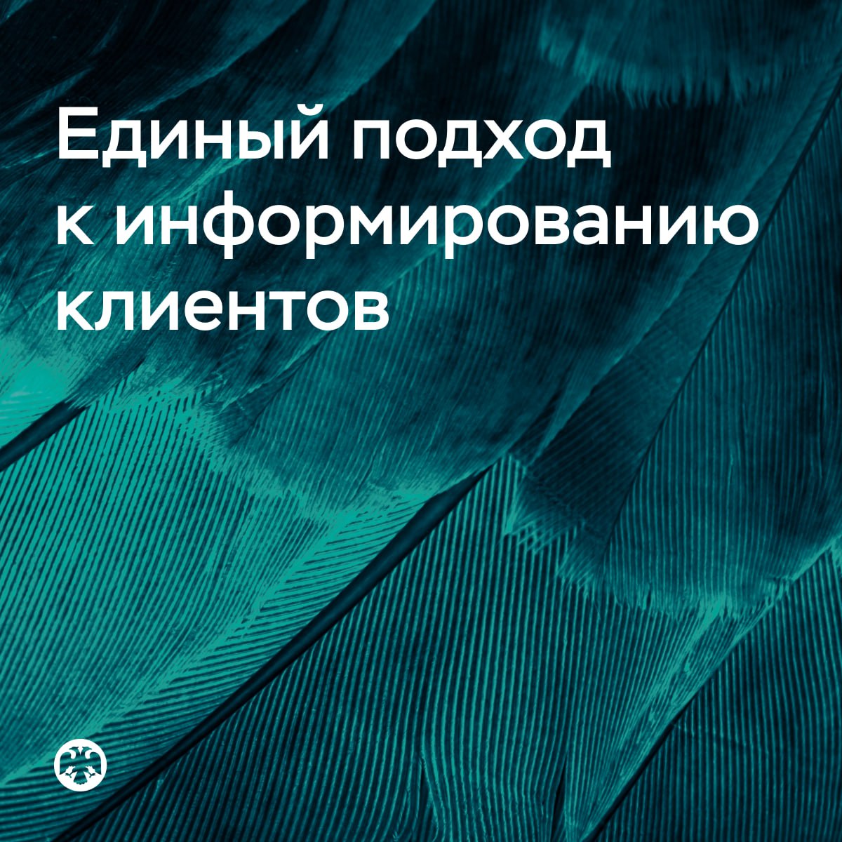Участникам рынка следует придерживаться единого подхода к информированию клиентов Мы выявили случаи когда финансовые организации раскрывают клиентам не все сведения о продуктах и услугах гарантируют доходность инвестиций используют графические приемы чтобы сделать информацию о сопутствующих расходах менее заметной указывают на преимущества инвестиционного продукта при сравнении с банковским вкладом но не сообщают о рисках используют формулировку одобрено Банком России не соответствующую действительности чтобы повысить доверие клиентов Такие нарушения мы обнаруживаем как на сайтах организаций так и при устном информировании потребителей Банк России направил участникам рынка информационное письмо с описанием недобросовестных практик которые следует исключить из клиентского пути Кроме того финансовым организациям рекомендовано своевременно доводить до потребителей полную понятную и достоверную информацию о финансовых продуктах и услугах