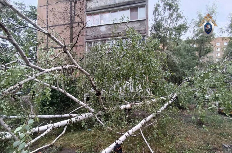 СК возбудил уголовное дело после гибели ребенка из-за упавшего дерева в Донецке Мальчик находился во дворе многоквартирного дома, когда из-за сильного порыва ветра на него упало дерево. 10-летний ребенок скончался на месте, сообщили в СУ СК по ДНР. Возбуждено уголовное дело по статье «Причинение смерти по неосторожности». Фото: СУ СК по ДНР Читать полностью Подписаться