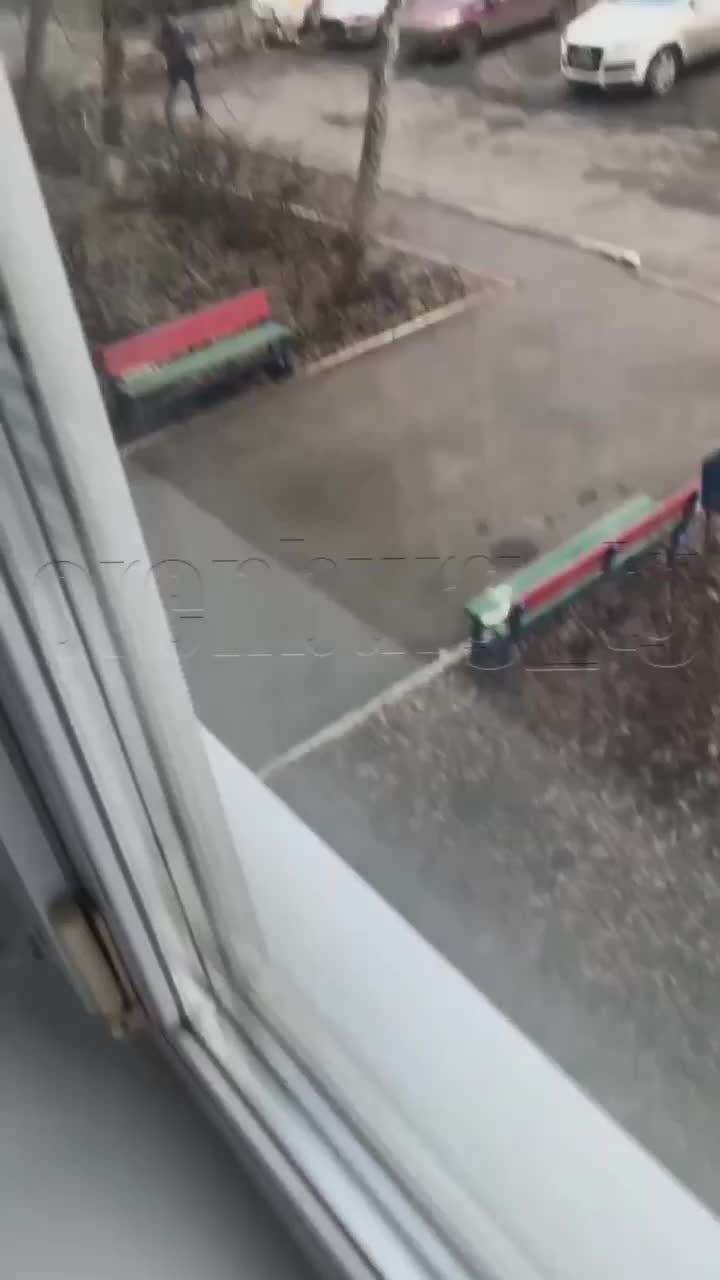 В Оренбурге возбуждено уголовное дело после падения дерева на девушку