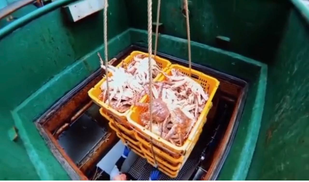 ‼ В Приморском крае перед судом предстанет бывший директор компании по добыче биоресурсов за контрабанду 30 тонн краба Приморский транспортный прокурор утвердил обвинительное заключение по уголовному делу в отношении 54-летней жительницы Владивостока. Она обвиняется по ч. 1 ст. 226.1 УК РФ незаконное перемещение через таможенную границу стратегически важных ресурсов в крупном размере . По версии следствия, женщина, будучи директором предприятия, осуществляющего добычу водных биологических ресурсов и их реализацию в иностранные государства, в апреле 2021 года организовала экспорт в Корею 31 тонны краба стригуна опилио живого стоимостью свыше 51 млн рублей. При этом для перемещения биоресурсов через границу она представила в таможенный орган документы, содержащие недостоверные сведения о происхождении и переработке продукции, в том числе сопроводительные ветеринарные сертификаты. Вину обвиняемая признала. Уголовное дело направлено во Фрунзенский районный суд г. Владивостока для рассмотрения по существу.