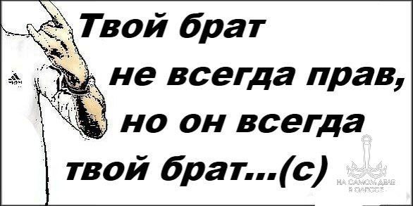 Родственники они же никогда плохого не посоветуют. Как часто вы это слышите?   Так вот, в селе Стоянова Одесской области, подарил брат брату гранату со словами: «не очкуй, она учебная». И как итогом, 22-летнего парня привезли в областную больницу с осколочным ранением лица и без трёх пальцев на левой руке.  Жаль что до 22-летнего возраста ребятам не привезли мозг.   ПОДПИСАТЬСЯ   #насамомделе #насамомделеводессе #одесса #одеса #odessa #odesa   Наш чат Наш бот Наш Дзен