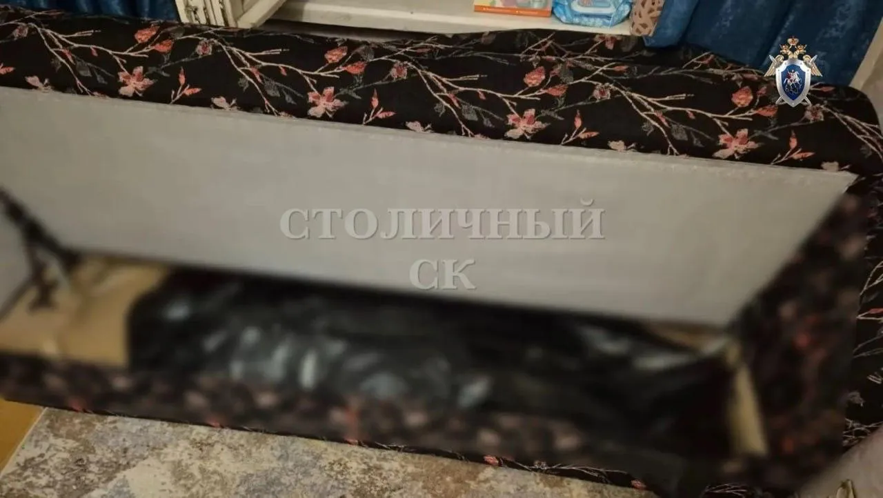 Тело девушки найдено в диване в квартире на юго востоке Москвы с признаками насильственной смерти в виде множественных повреждений Ее зарезали ножом По данным СК предполагаемый убийца сосед иностранец Он скрылся за границей Мы в МАХ