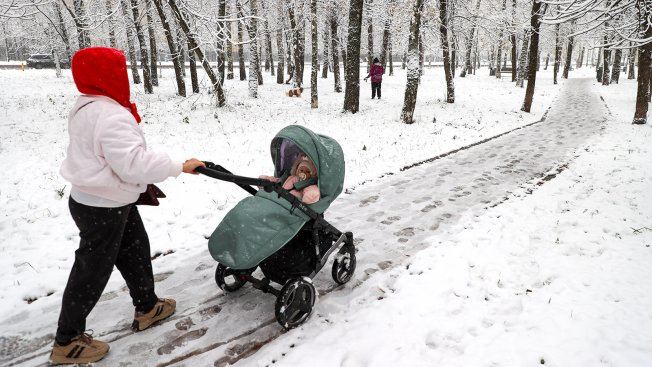 Госдума приняла закон о социальной пенсии для детей которые родились с помощью процедуры ЭКО более чем через 300 дней после смерти их отца Также депутаты приняли законопроект о льготах и мерах поддержки женщин со званием Мать героиня Михаил Климентьев ТАСС