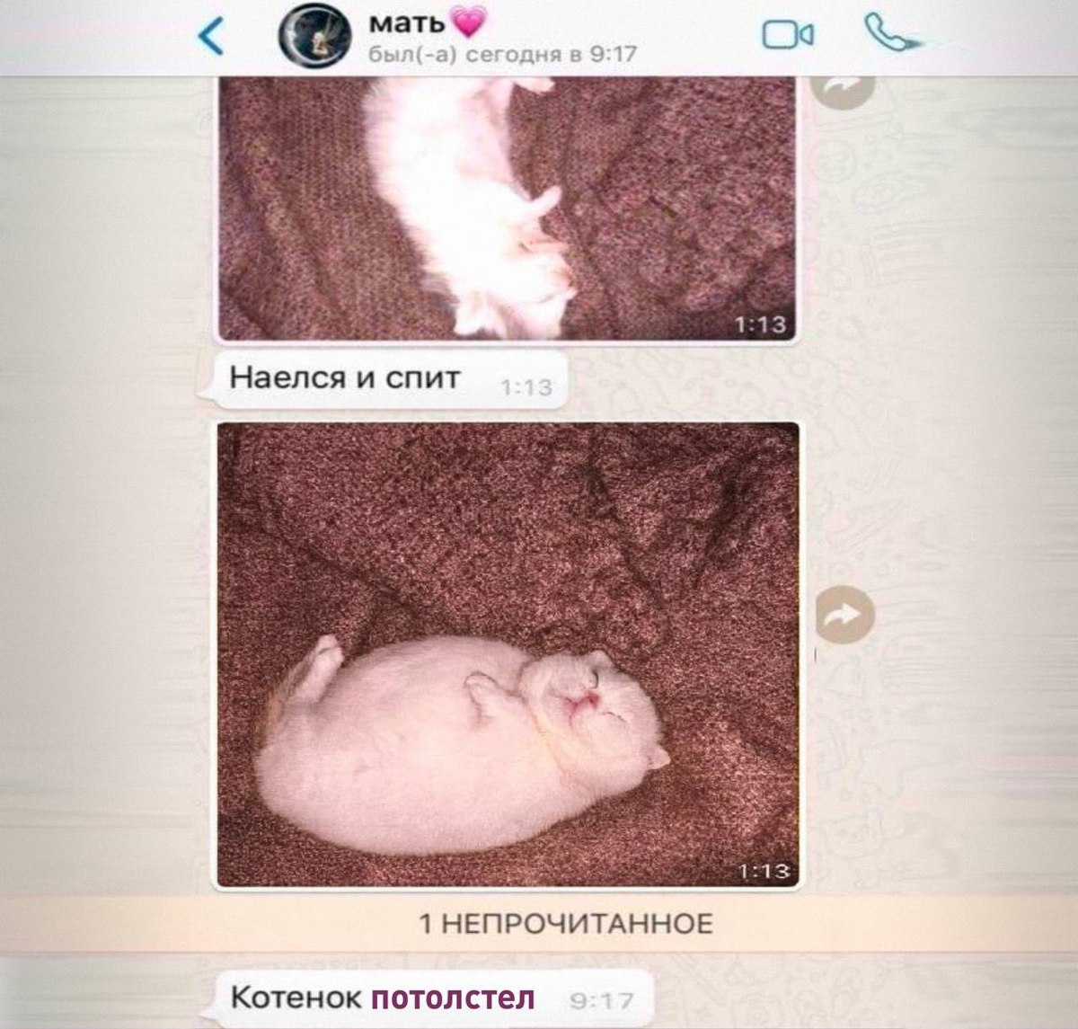 Недосып повышает риск ожирения почти в два раза выяснили ученые Также плохой сон повышает риск диабета гипертонии и сердечно сосудистых заболеваний А что ещё случилось