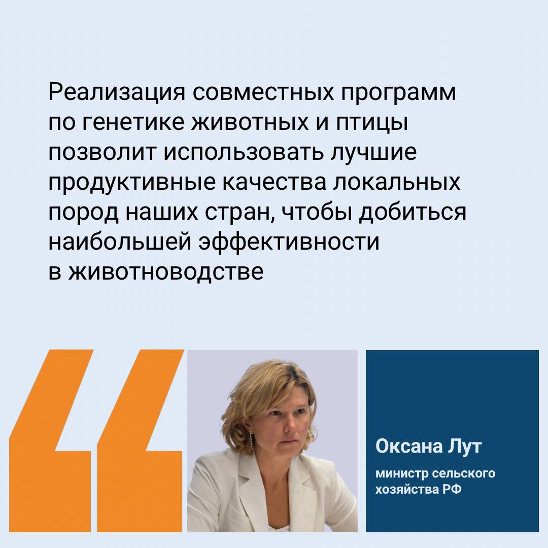 РФ и Бразилия будут сотрудничать по селекции в животноводстве и птицеводстве О совместной работе договорилась министр сельского хозяйства России Оксана Лут с министром сельского хозяйства и животноводства Бразилии Карлосом Фаваро и и о президента Бразильской корпорации по сельскохозяйственным исследованиям Embrapa Аной Ойлер Глава российского ведомства отметила хорошие перспективы реализации совместных проектов по селекции и генетике в растениеводстве и животноводстве в области повышения плодородия почв рационального питания и по другим направлениям Важная сфера взаимного интереса подготовка кадров для АПК Она охватывает взаимодействие между аграрными вузами двух стран организацию стажировок и подготовку совместных образовательных программ Embrapa которая находится в ведении бразильского Минсельхоза объединяет свыше 40 исследовательских центров расположенных во всех климатических зонах Бразилии Корпорация играет ключевую роль в исследованиях генетического улучшения сельскохозяйственных животных Подписаться на ВиЖ Наши каналы