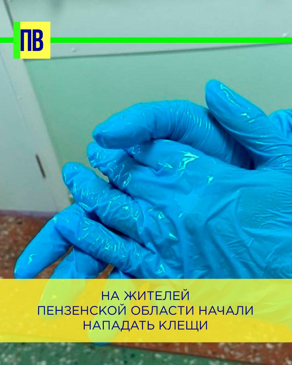 На жителей Пензенской области начали нападать клещи   В этом году первый пострадавший от укуса клеща обратился за медицинской помощью 9 марта.  В 2024 году в области зарегистрировали 1885 случаев обращений в медицинские организации по поводу укусов клещей. Случаи присасывания клещей регистрировались во всех административных территориях области.  Вирусологическая лаборатория ИЛЦ ФБУЗ «Центр гигиены и эпидемиологии в Пензенской области» ежегодно проводит исследования клещей методом ПЦР на клещевые инфекции. В 2024 году в лабораторию были доставлены 1168 клещей от 1168 лиц, пострадавших от нападения клещей, в 246 из них обнаружены инфекции.  Все лица с положительными результатами исследований получили профилактическое лечение. Всего в 2024 году было зарегистрировано 42 случая заболеваний, в том числе 9 случаев в 4 районах области и 33 случая в г. Пензе, сообщает пресс-служба ФБУЗ «Центр гигиены и эпидемиологии в Пензенской области».