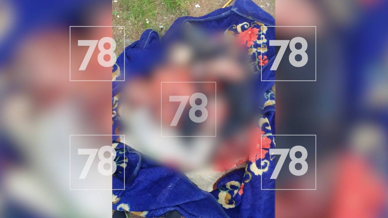 Тело одного из рабочих достали из-под завалов дома в Вартемягах В момент обрушения перекрытия второго этажа и крыши в доме находились четверо рабочих — двое на первом этаже и двое на втором. Тех, что были выше, придавило. Остальные мужчины выжили — перекрытие первого этажа обрушилось лишь частично. Один из рабочих успел выбежать, другой получил переломы обеих ног. Извлечённый из-под завалов погибший — 61-летний руководитель бригады. Поиски второй жертвы обрушения продолжаются, сообщил источник . Хозяин дома находится за границей. Предварительно, ему также принадлежат два соседних здания. Подписаться Прислать новость