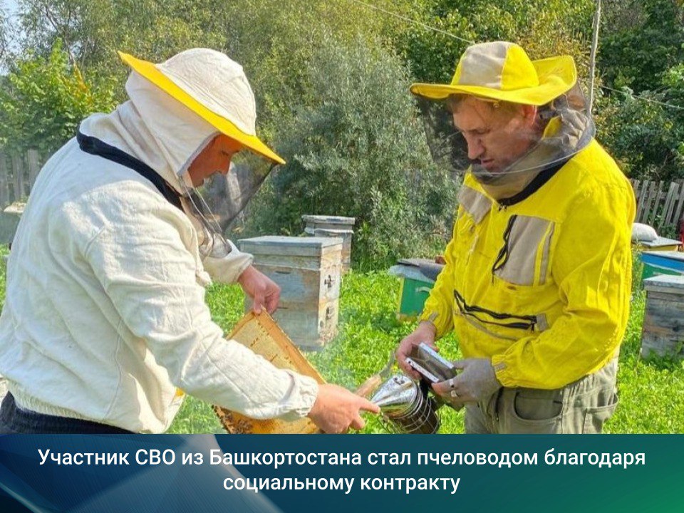 Вячеслав Абдуллин из Башкортостана после возвращения со специальной военной операции решил заняться пчеловодством Он обратился в службу занятости и благодаря социальному контракту получил 350 тысяч рублей на приобретение пчелосемей и оборудования Как результат в этом году Вячеслав собрал около полутонны башкирского мёда Для участия в программе адресной социальной помощи на основании социального контракта нужно обратиться в службу занятости в центры Семья а также отделения МФЦ