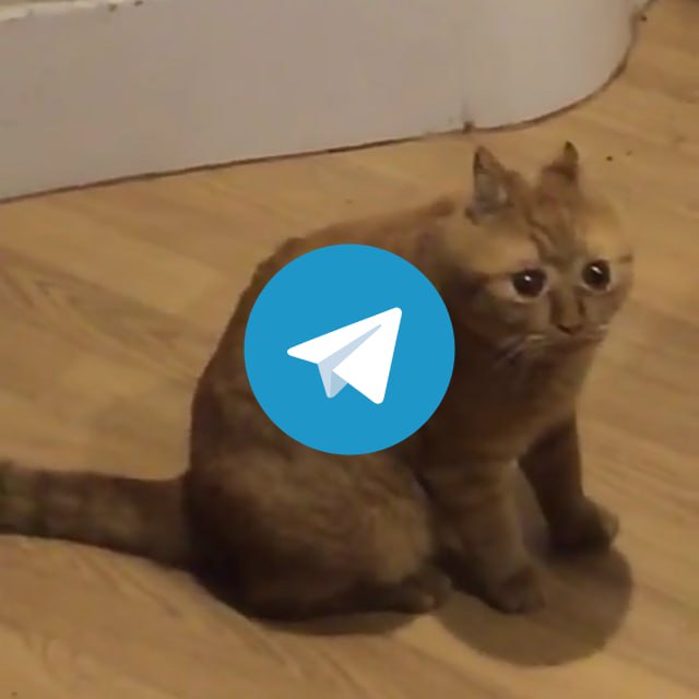 В тг за сутки заблокали 235 2k групп и каналов Это максимум с 23 января когда в один момент забанили 300 8 тыс сообществ Всего начала года ограничено уже 7 2 млн каналов из них 27 2 тыс за возможную связь с терроризмом Валерьич работает не мешайте