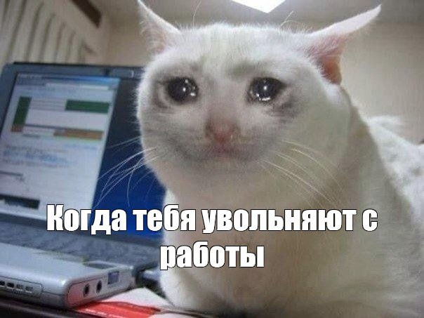 В России предложили доплачивать за тихое увольнение Работодателей могут обязать компенсировать сотрудникам принудительное увольнение по собственному желанию Такое предложение поступило министру труда и социальной защиты РФ Антону Котякову от Института исследования проблем современной политики Отмечается что за 2024 год с проявлениями тихого увольнения сталкивалась каждая третья российская компания Ключевое предложение предоставить работнику право на компенсацию в трехкратном размере от среднего заработка Это возможно при условии если факт вынужденного увольнения документально доказан Инициаторы считают подобный способ ограничит злоупотребления Кроме этого инициаторы также выступают за материальную ответственность за систематическое создание токсичных условий на рабочем месте Как вам идея Подписаться на truekpru Читать нас в MAX