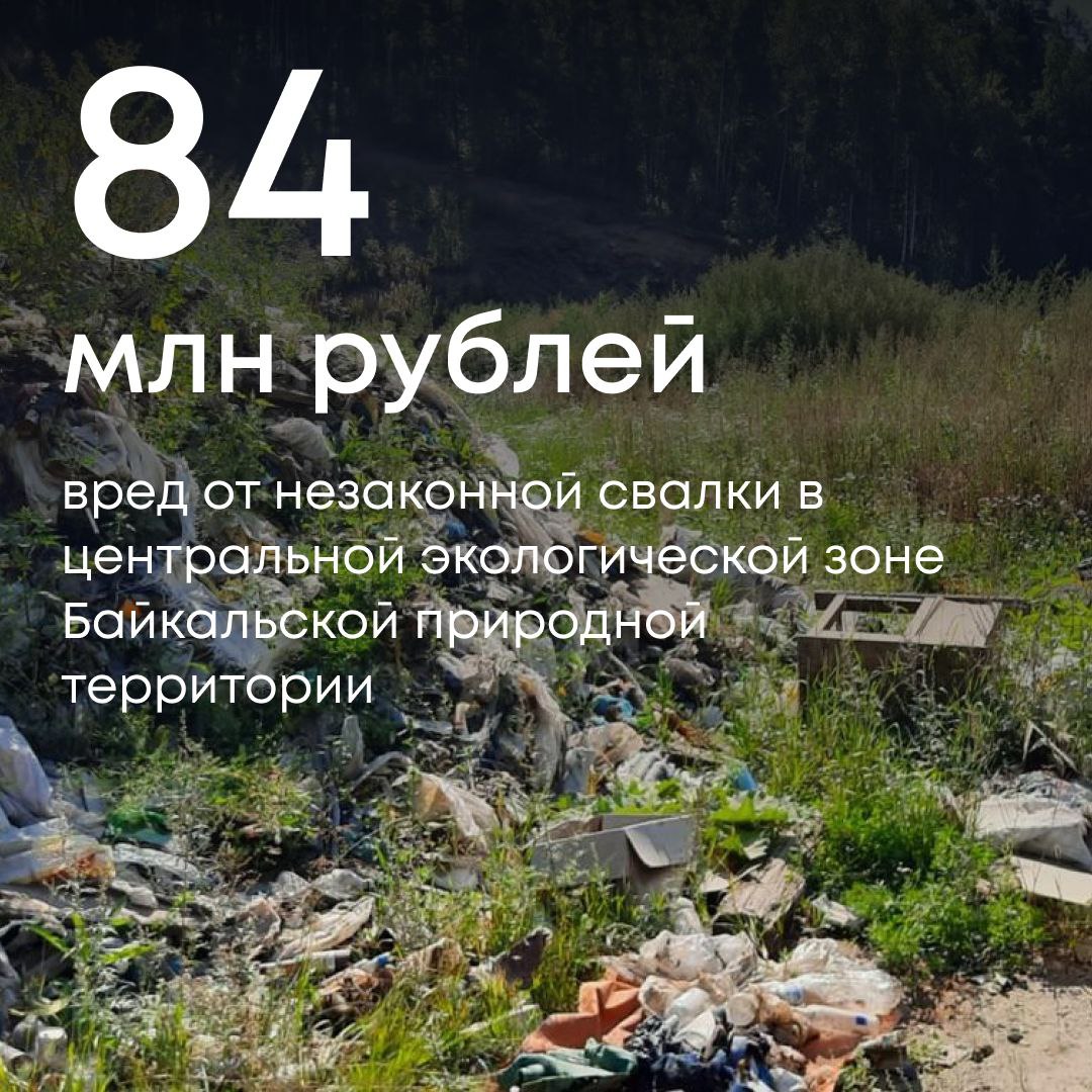 Арбитражный суд удовлетворил требования Росприроднадзора о взыскании 84 млн рублей с Республиканского агентства лесного хозяйства за ущерб, причиненный почвам в центральной экологической зоне Байкальской природной территории. В 2023 году специалисты провели обследование в районе поселка Турка. Там была обнаружена незаконная свалка отходов. Рассчитанный ущерб составил более 84 млн рублей. Добровольно сумма не была возмещена. Суд обязал нарушителя компенсировать вред в полном объеме.