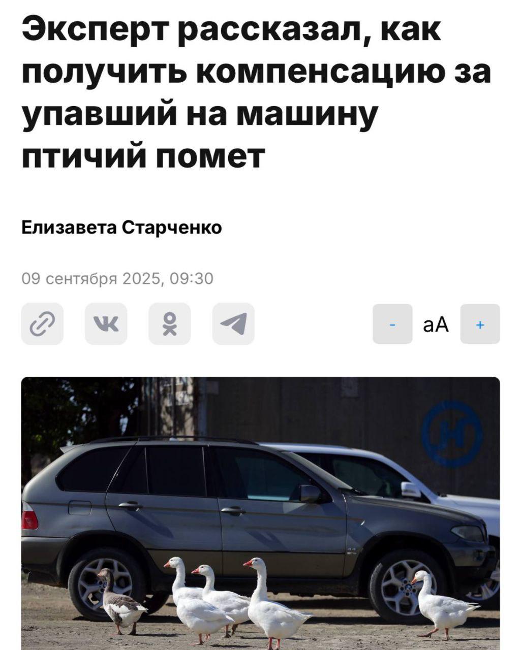Водители могут получить компенсацию за повреждения от птичьего говна если в КАСКО прописан риск воздействия птиц или повреждения животными Эксперты напоминают что кислота в помете разъедает краску Чтобы страховая возместила ущерб нужно сразу зафиксировать повреждения на фото и обратиться в компанию пытаться стереть следы самостоятельно не стоит иначе выплату могут отклонить