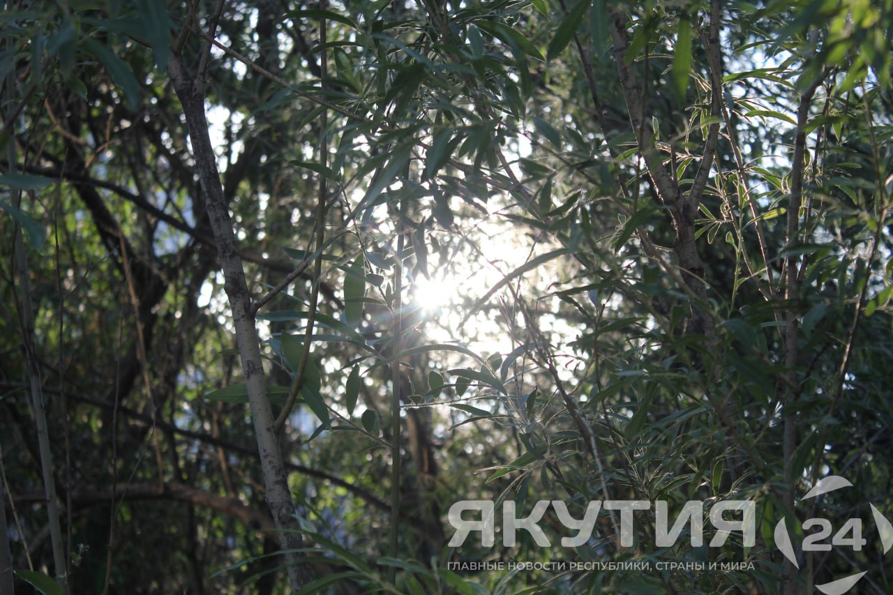 Свыше 2,5 тысячи детей участников СВО из Якутии отдохнут в летних лагерях Направить на летний отдых 2 733 ребенка участников СВО или 49% от общего их количества планируют в текущем году. Планируется, что 560 юных якутян смогут отдохнуть за пределами республики, 200 — в государственных лагерях «Сосновый бор», ДЗСОЛ «Энергетик» и ДЗСОЛ «Кэскил», а еще около 1973 детей проведут лето в муниципальных лагерях Якутии. Подробнее читайте по ссылке Фото: Андрей Меженский / «Якутия 24»