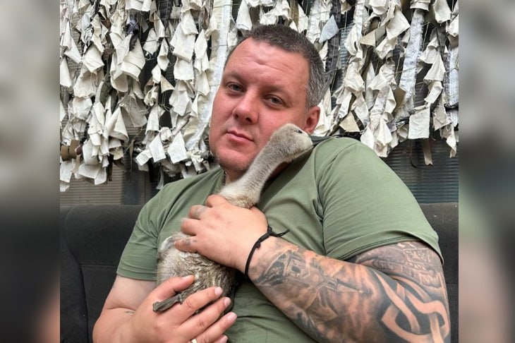 Из ЛНР в Волгоград отправились оставшиеся без родителей птенцов лебеди. Как сообщает ИА «Высота 102», птиц спасли от собак бойцы одного из местных подразделений с позывными «БЕКАС» и «ТРЕНЕР» и передали в приют «Птичий Остров».  - Узнав про это, вызвался найти им новый дом. Так как я знал один центр диких животных ЗООЦЕНТР «ДИНО», то позвонил туда. Мне ответила директор центра Анжела и сказала, что у них только дикие животные, но она поможет нам пристроить малышей. После мне позвонила Алина уже из Центра реабилитации диких животных «Птичий Остров». Сказала что они готовы взять малышей к себе, - поделился подробностями ветеран боевых действий Михаил Морев.  Однако волгоградские зоозащитники сами не имели возможности приехать за животными. На помощь им пришли местные волонтёры.   Подробнее