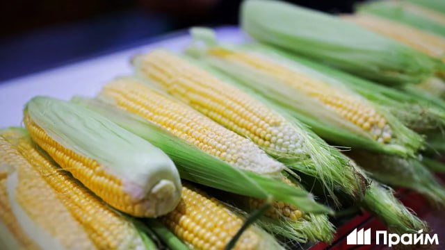 Китай нарастил импорт российской кукурузы до максимума подсчитало РИА Новости Суммарный объем поставок кукурузы из России в КНР за 2025 год достиг рекордных 444 тысяч тонн что в 2 9 раза больше чем годом ранее Подписывайтесь на ПРАЙМ в MAX