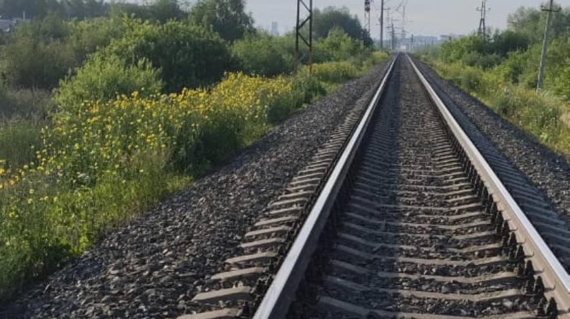 Во время маневра с рельсов в Омске сошел поезд  Сегодня, 12 августа, около полуночи на железной дороге в районе станции Комбинатская сошел с путей маневровый тепловоз ТЭМ18ДМ. Об этом сообщает транспортная прокуратура.  – Задержек в движении подвижного состава по станции не последовало. Причины и обстоятельства события устанавливаются, – отметили в ведомстве.  Сотрудники транспортной прокуратуры собираются выяснить, соблюдали ли при маневровых работах требования законодательства о безопасности движения и эксплуатации железнодорожного транспорта.  Отметим, что в этом году в Омске с рельсов сходили не только поезда, но и трамваи. Первый инцидент произошел в феврале, второй - в июле.