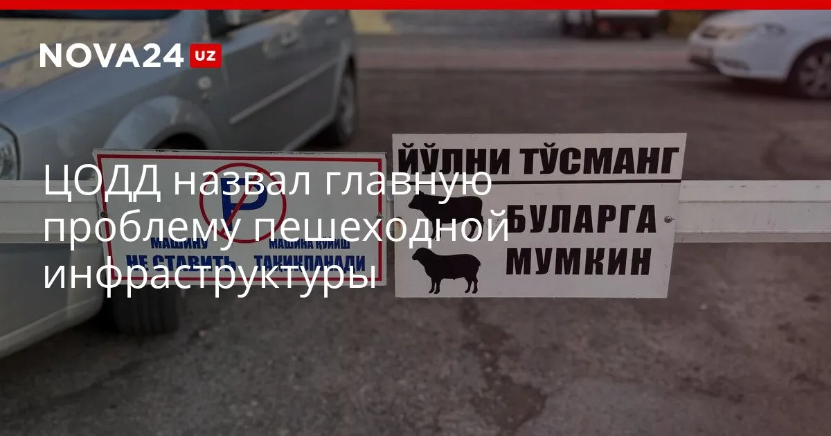 ЦОДД назвал главную проблему пешеходной инфраструктуры Центр организации дорожного движения запустил пилотный проект по объединению парковок в единую городскую систему управления nova24 uz 327390 YouTube Instagram Telegram
