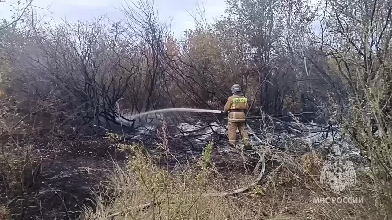Пожар в районе Соль Илецка ликвидирован, площадь возгорания составила 200 гектаров