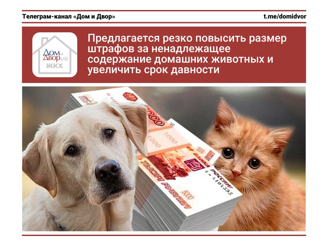 Предлагается резко повысить размер штрафов за ненадлежащее содержание домашних животных и увеличить срок давности В прошлом году уже принимали закон об ответственности за ненадлежащее содержание домашних животных с внесением изменений в КоАП РФ. На сей раз депутаты решили, что размер ответственности всё же недостаточен, и внесли новый законопроект № 965007-8 об ужесточении ответственности. Предлагается внести изменения в следующие статьи КоАП РФ. ч.1 ст. 8.52 несоблюдение требований к содержанию животных, в т.ч. домашних : на граждан – от 20 до 50 тысяч руб. сейчас от 1,5 до 3 тыс. ; на должностных лиц – от 100 до 200 тысяч руб. сейчас от 5 до 15 тыс. ; на юрлиц – от 250 до 300 тысяч руб. сейчас от 15 до 30 тыс. . ч.3 ст.8.52 если повлекло причинение вреда жизни или здоровью граждан или имуществу : на граждан – от 50 до 100 тысяч руб. сейчас от 10 до 30 тыс. ; на должностных лиц – от 200 до 300 тысяч руб. сейчас от 50 до 100 тыс. ; на юрлиц – от 350 до 500 тысяч руб. сейчас от 100 до 200 тыс. . Аналогичные изменения касаются статьи 8.54 о несоблюдении требований к осуществлению деятельности по обращению с животными в приютах и без владельцев. Кроме того, предлагается увеличить срок давности привлечения к административной ответственности до трех лет. #животные #штраф #законодательство - ЖКХ касается каждого