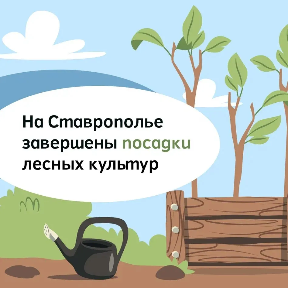 В Ставропольском крае заложили 34 га новых лесов Работы провели местные лесхозы в рамках регионального проекта Сохранение лесов нацпроекта Экологическое благополучие Деревья высадили в Кисловодске Ипатовском Курском Степновском Предгорном Арзгирском Левокумском округах Общая площадь новых лесных участков составила 34 га Для восстановления лесов выбраны клен сосна крымская акация белая джузгун