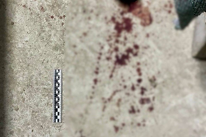 Забил трубой при свидетеле 27 летнего Сергея взяли под стражу в Якутске после того как оперативники установили его причастность к убийству По версии следствия 26 октября мужчина жестоко расправился со знакомым забив его до смерти трубой Как рассказали в следственном комитете республики 26 октября Сергей в компании знакомого и его девушки выпивали в гараже когда между ними завязалась ссора Конфликт начался из за их общей знакомой Мужчины не смогли договориться на словах поэтому в дело пошли подручные предметы Подробнее Фото СУ СКР по Якутии