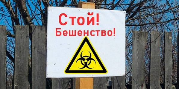 В Алтайском крае выявили 15-й случай бешенства 15-ю за 2025 год вспышку заболевания выявили в Шипуновском районе. Соответствующие данные разместили на официальном портале опубликования правовой информации. Очаг смертельного заболевания обнаружили в личном подсобном хозяйстве села Быково. В соответствии с указом губернатора региона Виктора Томенко, его объявили "неблагополучным пунктом". При этом в документе не обозначено, с каким животным связана вспышка бешенства. Статус "неблагополучного" село утратит через 60 дней после того, как усыпят последнее животное, подозреваемое в заболевании бешенством, либо уничтожат его последний труп. Амик