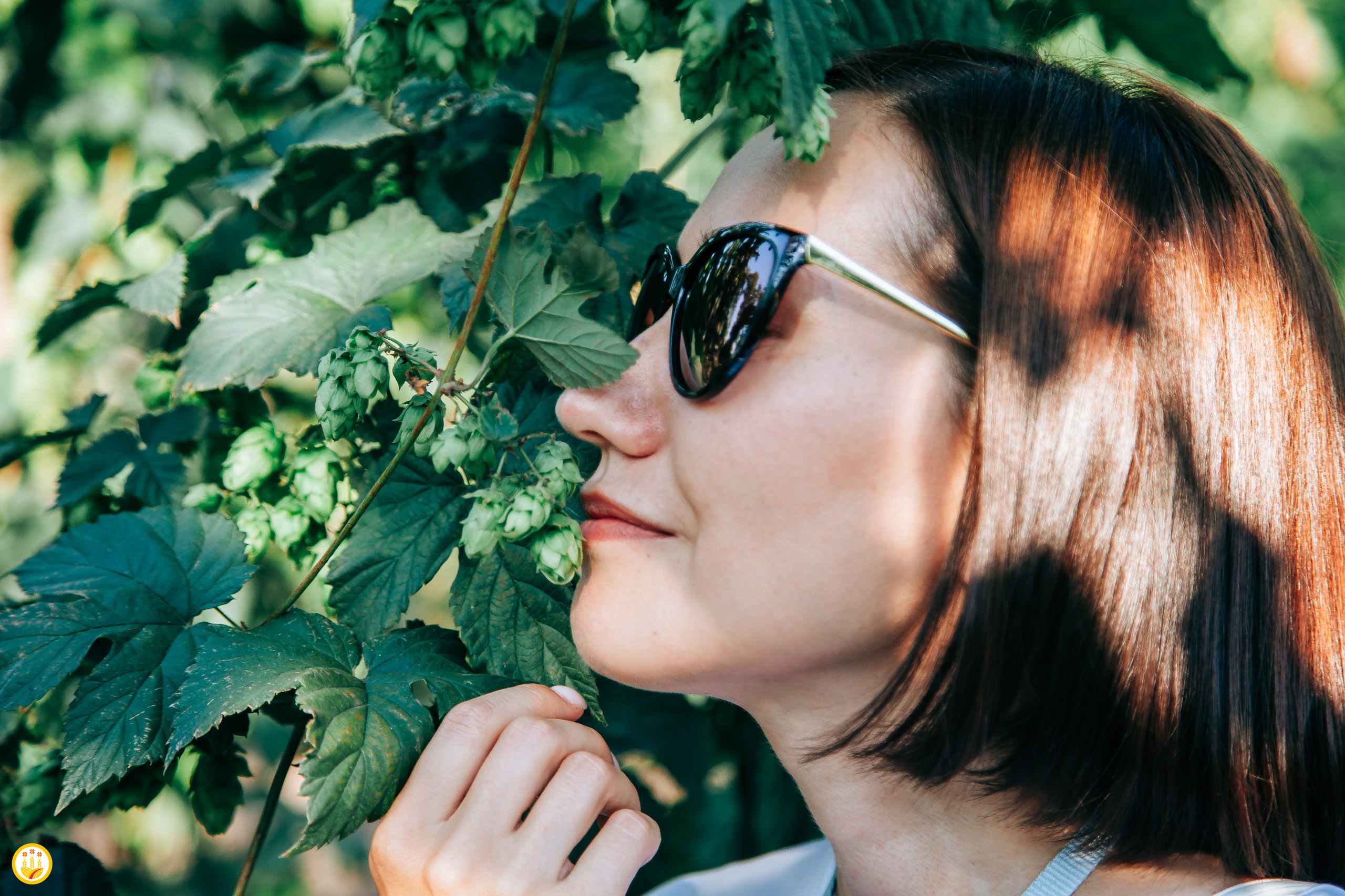 Русхмель ТЕХМА АГРОМАШ и ГЛОБАЛ ЭКСПЕРТ ПОВОЛЖЬЕ будут развивать хмелеводство в Чувашии с господдержкой Компании победили в грантовом отборе Чувашский хмель организованном Минсельхозом региона Гранты предусмотрены для приобретения в следующем году саженцев хмеля для закладки 10 га хмельников стройматериалов для 50 га хмелешпалер а также на разработку и изготовление промышленных образцов 4 х видов хмелевозделывающей сельхозтехники Соглашения уже подписаны Общая сумма поддержки из федерального и республиканского бюджетов 75 4 млн рублей