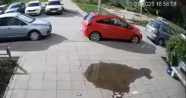В Липецке 7-летний мальчик пострадал в ДТП с участием БМВ
