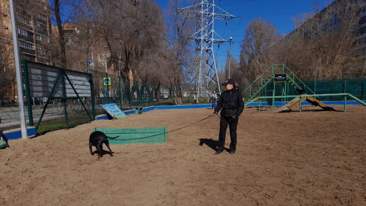 ‍ В УФСИН Самарской области на пенсию проводили служебных собак  Как сообщают в ведомстве, на заслуженный отдых вышли сразу девять собак, которые работали в уголовно-исполнительной системе. Приютить их бесплатно может любой житель региона.  Все питомцы привиты и хорошо воспитаны. Собаки прошли специальные курсы дрессировки. Они несли службу в различных подразделениях и проявили преданность и высокий уровень профессионализма.  Желающие взять к себе четвероногого друга могут обратиться в кинологическую службу УФСИН России по Самарской области.   : ГТРК Самара