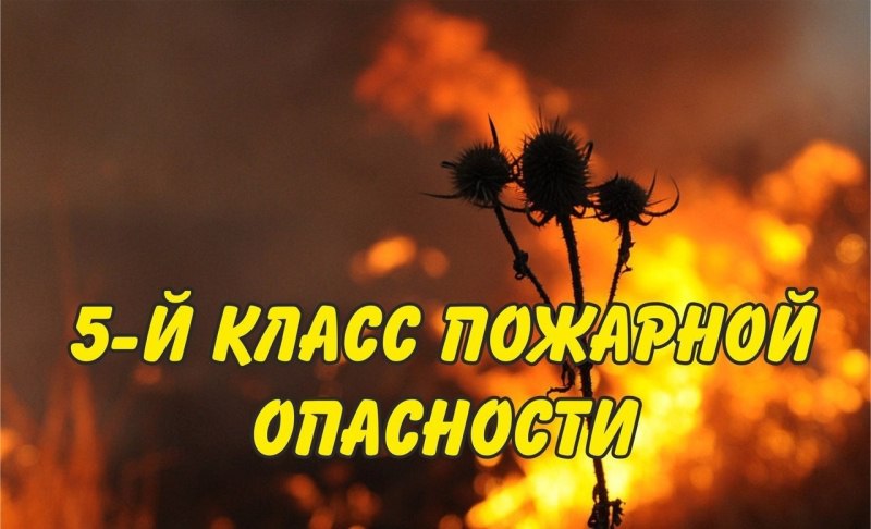 По данным Калмыцкого ЦГМС, до конца суток 08 июля, а также сутки 09 июля чрезвычайная пожарная опасность 5 класса ожидается в центральном районе Яшкульский район , юго-восточных районах Лаганский, Черноземельский районы , местами в северном районе Юстинский район Республики Калмыкия. Прогнозируется вероятность возникновения чрезвычайных ситуаций и происшествий, связанных с ландшафтными пожарами, пожарами в районе озер камышовые заросли , выявлением единичных очагов природных пожаров. Фото: МЧС Республики Калмыкия Быть в курсе Прислать новость