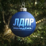 Аватар Телеграм канала: Молодёжь ЛДПР
