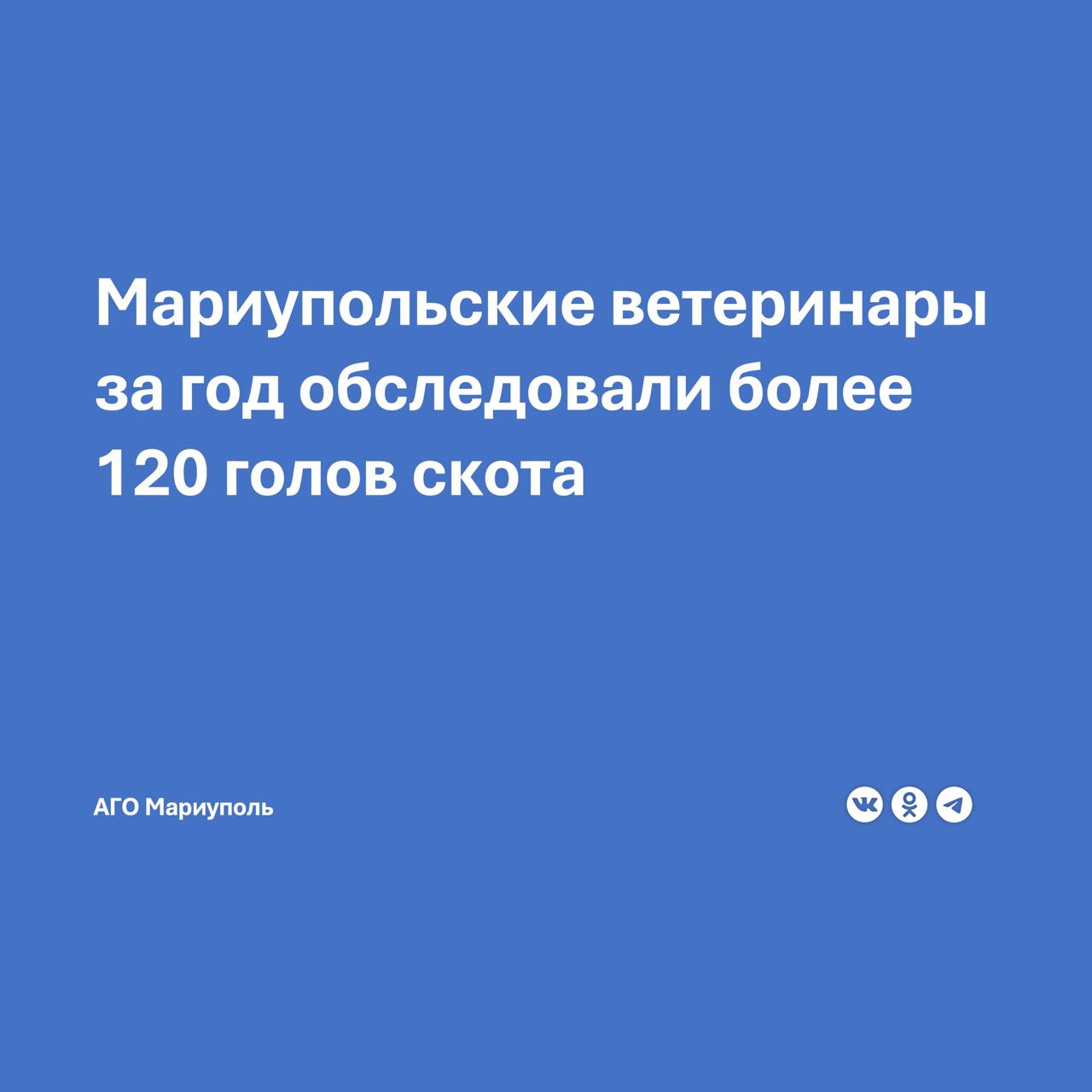 По информации ГБУ «Государственная ветеринарная больница города Мариуполь» в текущем году в населенных пунктах городского округа специалисты провели комплекс плановых ветеринарно-профилактических и противоэпизоотических мероприятий, направленных на выявление и предотвращение возникновения потенциальных очагов опасных инфекционных заболеваний у животных.  В частности, ветеринары обследовали на бруцеллез, туберкулез и лейкоз 122 головы крупного и мелкого рогатого скота. Результаты анализов не выявили положительных реакций.  Кроме того, на инфекционные болезни специалисты проверили 11 голов лошадей и 40 пчелосемей, провели мониторинговые исследования птицы на грипп типа H5-H7. Все результаты анализов также оказались отрицательными.  С целью профилактики заболеваний ветеринары вакцинировали крупный и мелкий рогатый скот от сибирской язвы, а домашних кошек и собак – от бешенства.  А в охотугодьях Приазовья осенью специалисты провели пероральную иммунизацию от бешенства диких плотоядных животных.