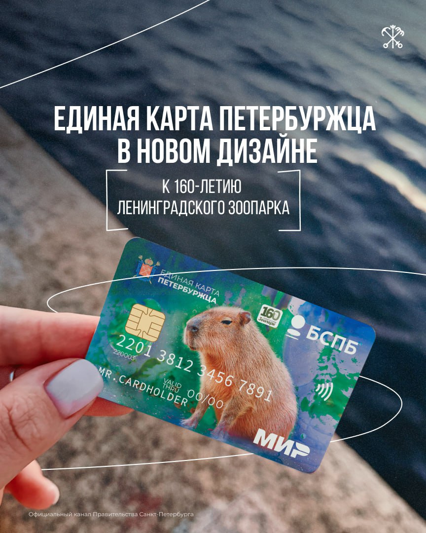 Капибара на карте выпущена лимитированная ЕКП в честь юбилея зоопарка Ленинградский зоопарк празднует 160 летие и в честь этого события появилась особенная Единая карта петербуржца На ней изображена самая обаятельная жительница зоопарка капибара Кайса Оформить карту с уникальным дизайном можно до 30 сентября в любом отделении банка Санкт Петербург Для этого понадобятся только паспорт и СНИЛС а регистрация в городе не обязательна Фото Правительство Санкт Петербурга Подписаться на Петербургский Дневник в MAX