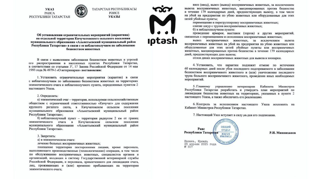 Карантин по бешенству ввели в Альметьевском районе.  Минниханов подписал указ о карантине в Кичучатовском сельпо, где ООО "Кичучат" выращивает коровок. Опасно не только там, но и на два километра вокруг. Закончится всё лишь спустя 60 дней после убоя или уничтожении последнего трупа больного животного. Руководитель хозяйства винит пришлую кошку, мол, это она всех заразила.   Сейчас место очага нельзя посещать посторонним, а ещё ввозить и вывозить животных и снимать шкуры. Кабмин должен придумать план по ликвидации заразы.