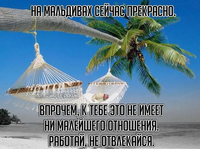 Майские на Мальдивах обошлись россиянам в 9 2 миллиона Пока кто то считает каждую копейку перед праздниками семья из трёх человек уже успела купить самый дорогой тур на островах за 9 2 миллионов рублей Как сообщает ТАСС отдыхать счастливчики будут 13 дней То самое чувство когда ты на майские можешь позволить себе разве что поездку на дачу Подписывайтесь на нас в MAКС