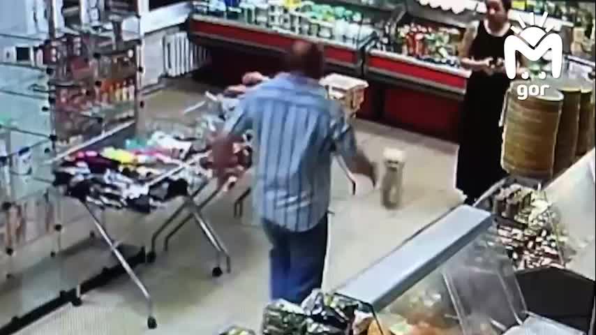 Нападение на женщину с собакой в магазине Владикавказа