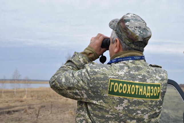 На Южном Урале браконьеры возместили почти 4 млн рублей ущерба   За нарушения правил охоты 133 человека привлечены к ответственности.