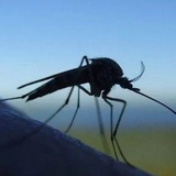 Аватар Телеграм канала: Долго будет Карелия сниться